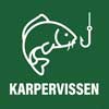 karpervissen