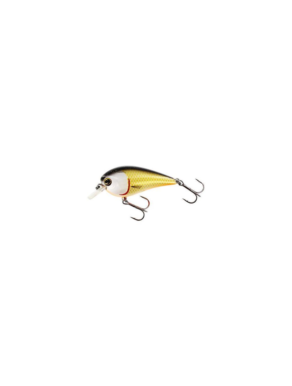 Westin BassBite Squarebill Crankbait Galleggiante 7 Cm (16 G) – Esche Da Pesca Per Persico Trota, Color Official Roach, Pala Quadrata Per Recupero Veloce E Lento, 1-2,5 M - 3