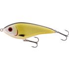 Westin SWIM GLIDEBAIT 8CM 16G SUSPENDING OFFICIAL ROACH