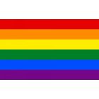 Vlag Regenboog  20x30cm Punt