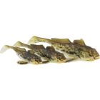 GUNNAR THE GOBY 6,5CM 3,5G SPOTTED GOBY 3PCS