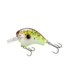 Macbeth 50 || Coleslaw