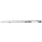 Yasei Pike 2,20m 20-60g 2pc Fast Spinning