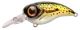 Fat_Iris_CR_Brown_Trout