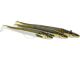 Westin__MAGIC_MINNOW_WEEDLESS_JIG_18G_10_5CM_TOBIS_AMMO__1