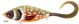 Guppie_DS_Shallow____Copper_Pike