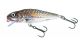 Salmo Perch 12cm Shallow Runner Holographic Grey Shiner